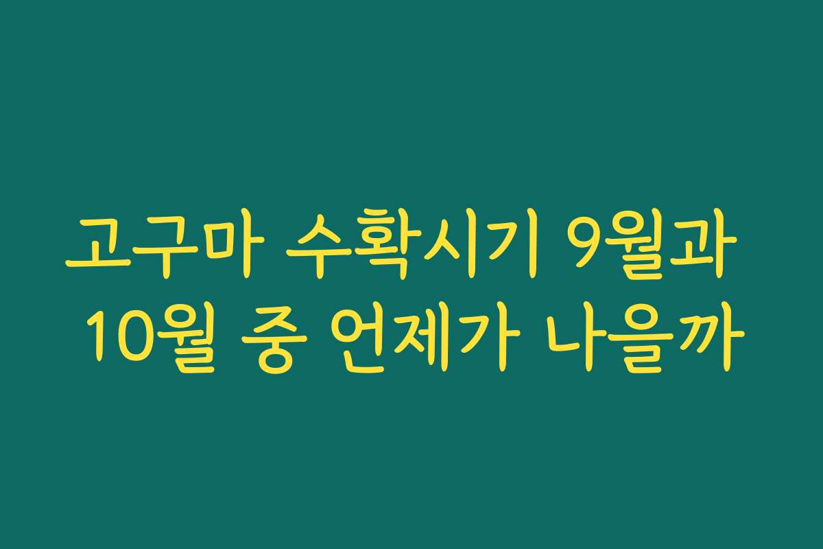 고구마 수확시기 9월과 10월 중 언제가 나을까