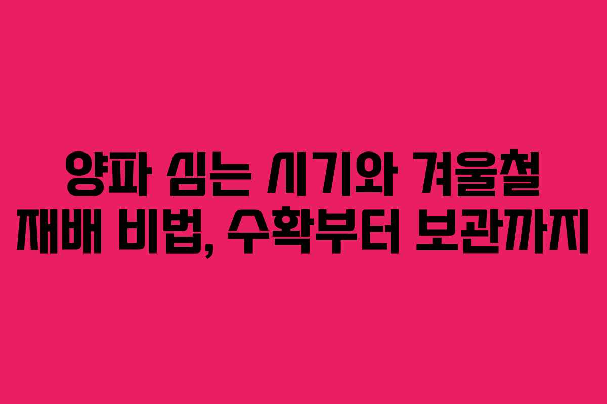 양파 심는 시기와 겨울철 재배 비법, 수확부터 보관까지 양파 심는 시기와 겨울철 재배 비법, 수확부터 보관까지