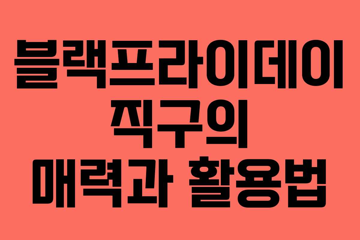 블랙프라이데이 직구의 매력과 활용법 블랙프라이데이 직구의 매력과 활용법