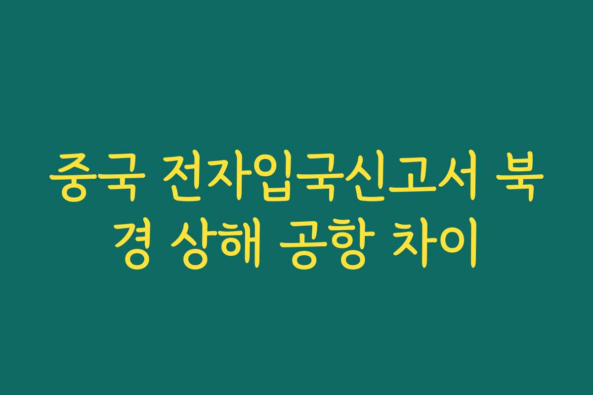 중국 전자입국신고서 북경 상해 공항 차이