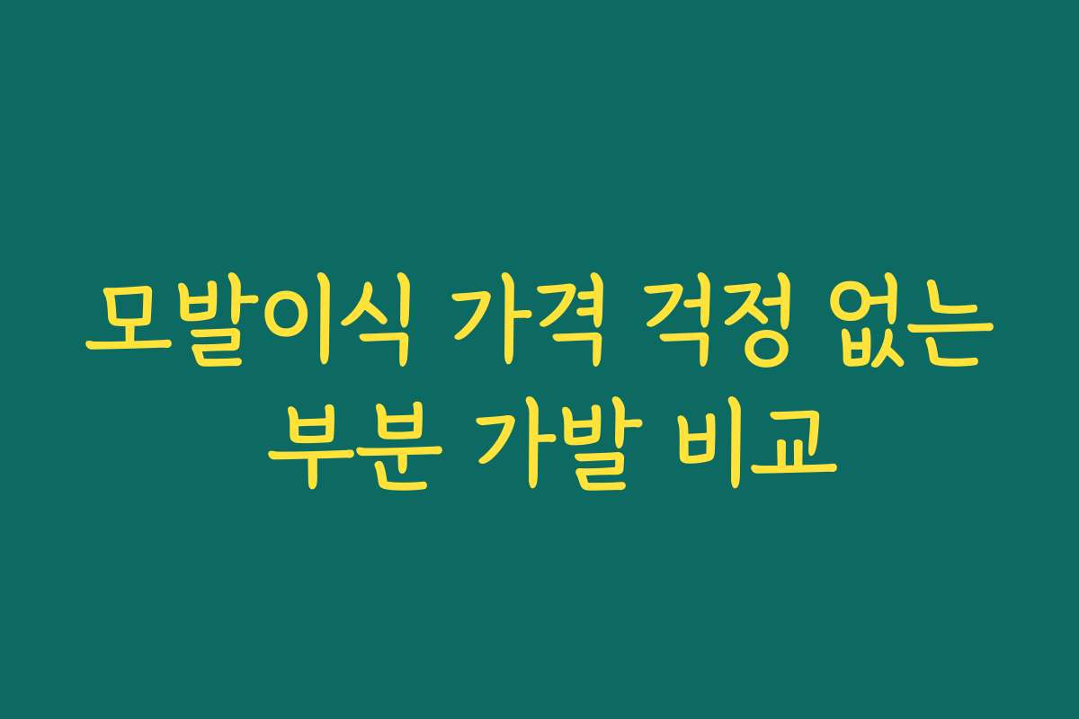 모발이식 가격 걱정 없는 부분 가발 비교