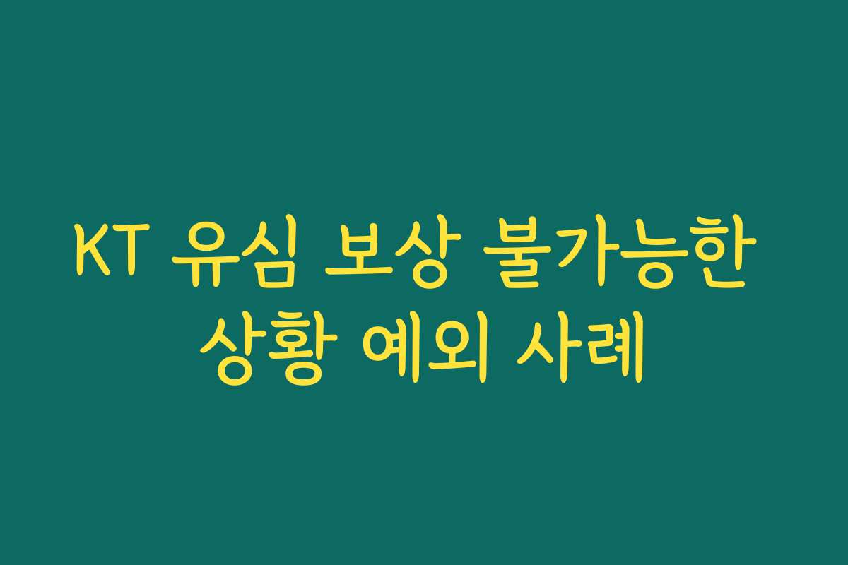 KT 유심 보상 불가능한 상황 예외 사례