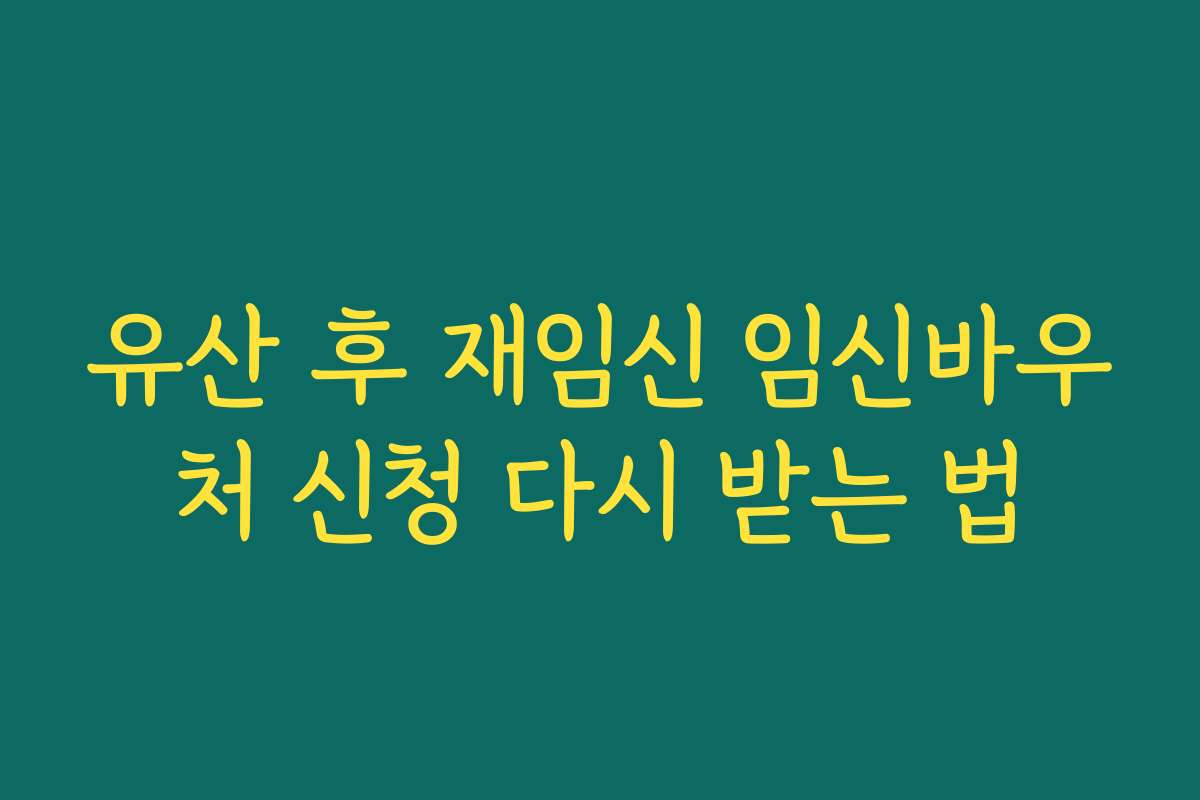 유산 후 재임신 임신바우처 신청 다시 받는 법