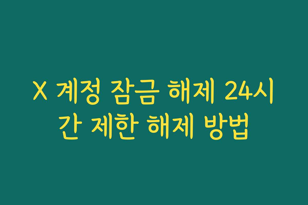 X 계정 잠금 해제 24시간 제한 해제 방법