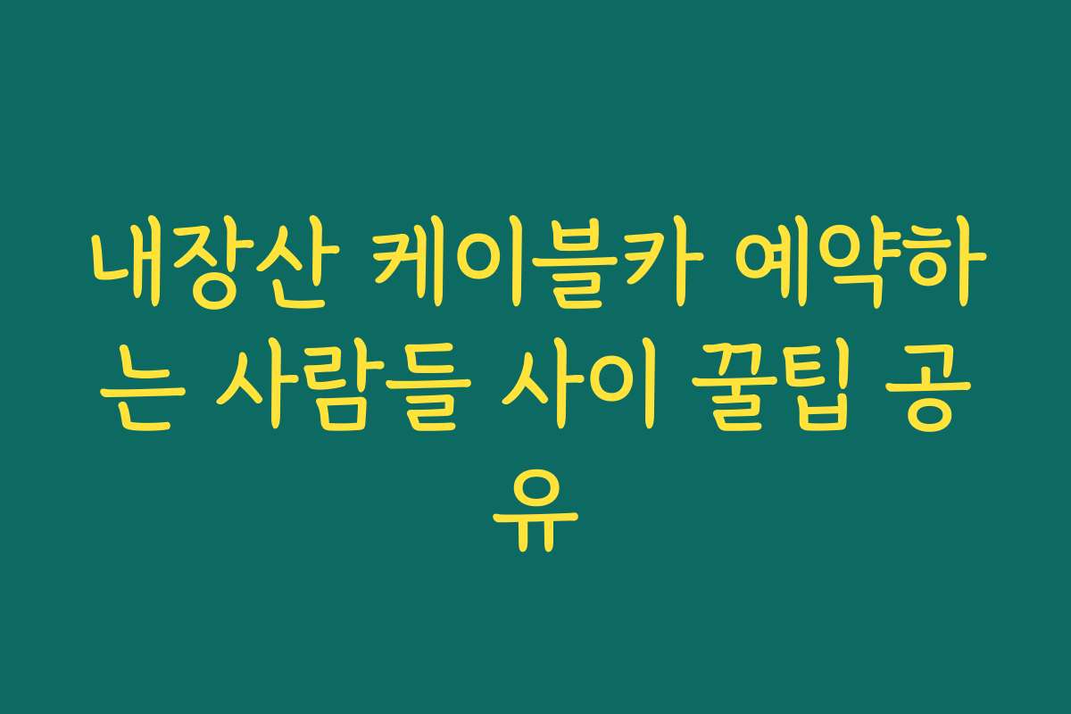 내장산 케이블카 예약하는 사람들 사이 꿀팁 공유