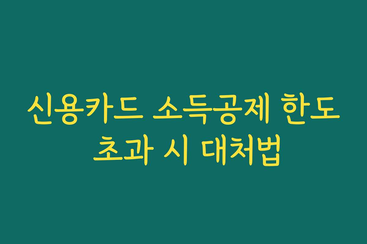 신용카드 소득공제 한도 초과 시 대처법
