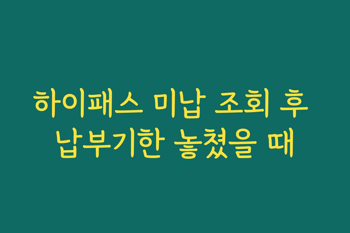 하이패스 미납 조회 후 납부기한 놓쳤을 때
