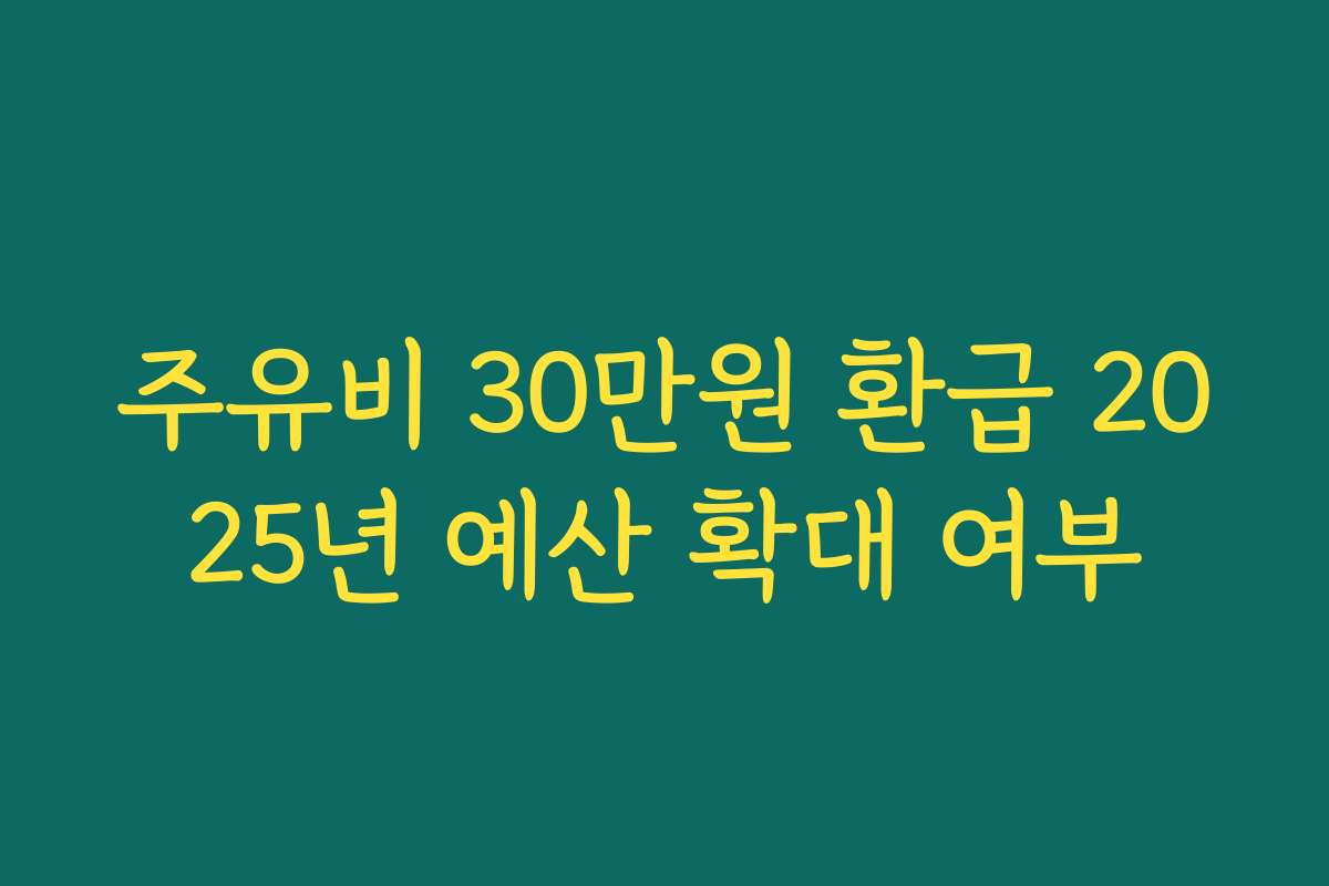 주유비 30만원 환급 2025년 예산 확대 여부
