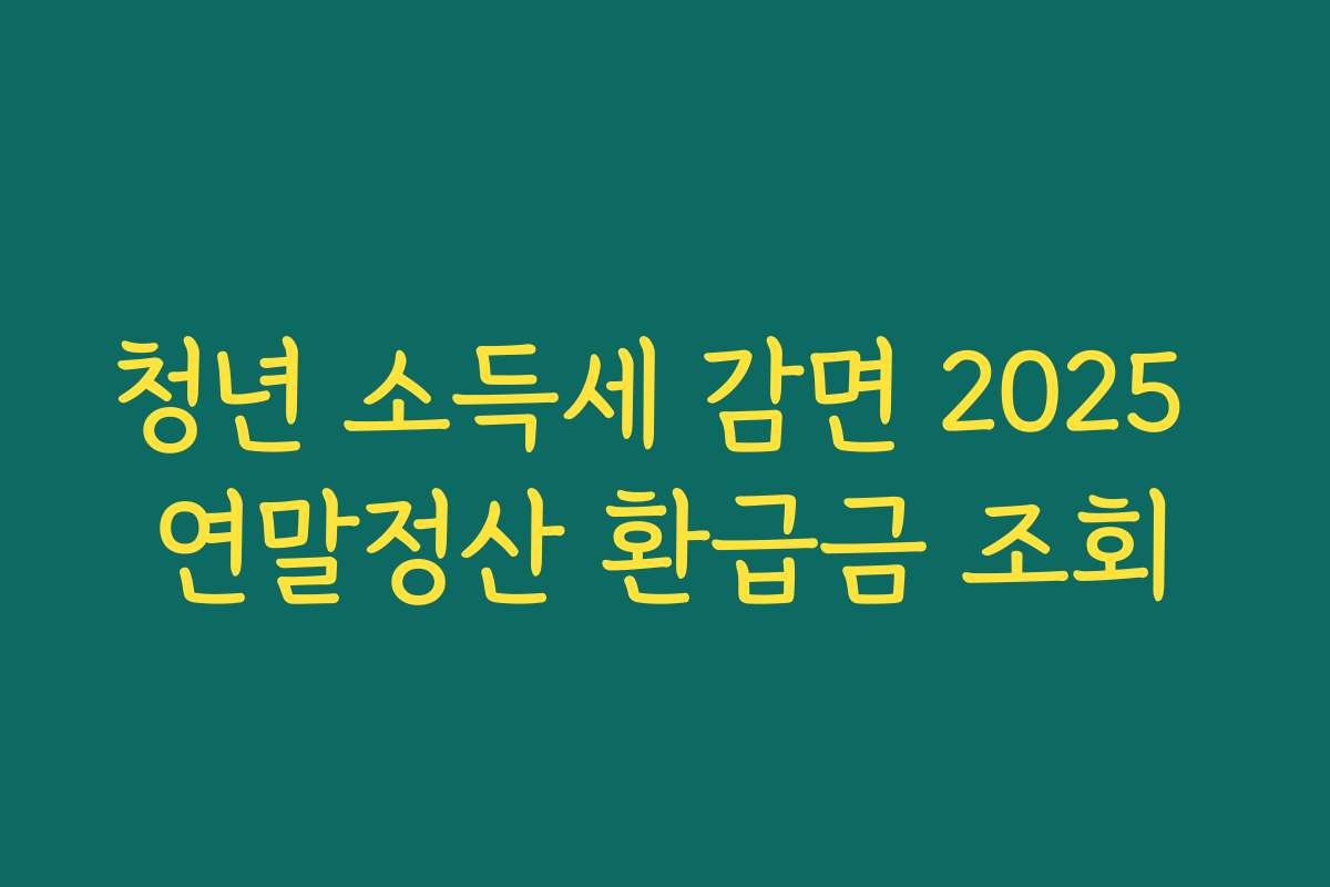 청년 소득세 감면 2025 연말정산 환급금 조회