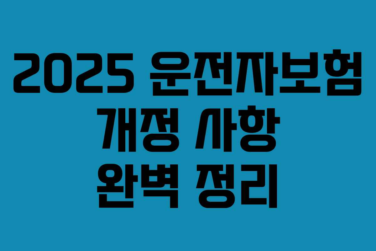 2025 운전자보험 개정 사항 완벽 정리