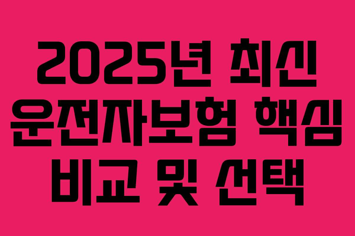 2025년 최신 운전자보험 핵심 비교 및 선택
