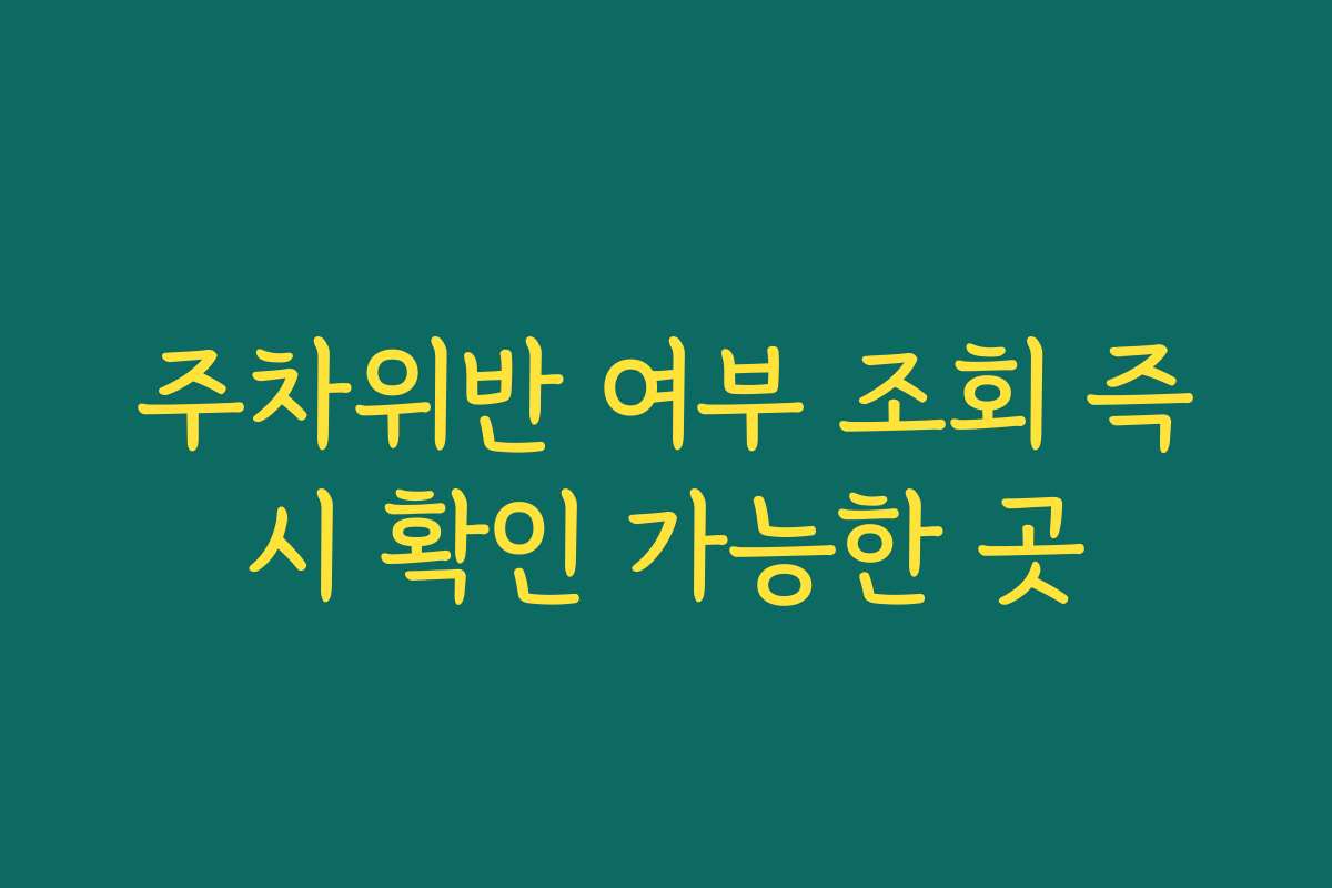 주차위반 여부 조회 즉시 확인 가능한 곳