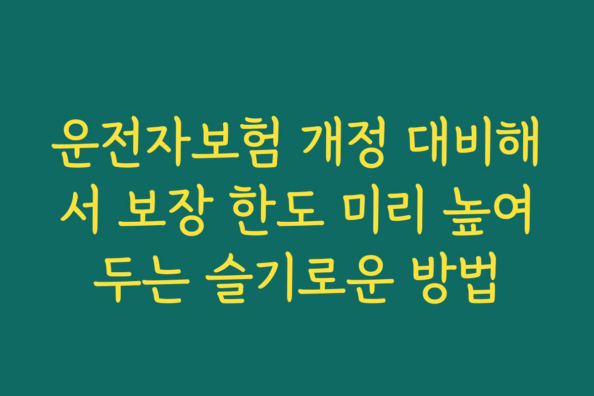운전자보험 개정 대비해서 보장 한도 미리 높여두는 슬기로운 방법