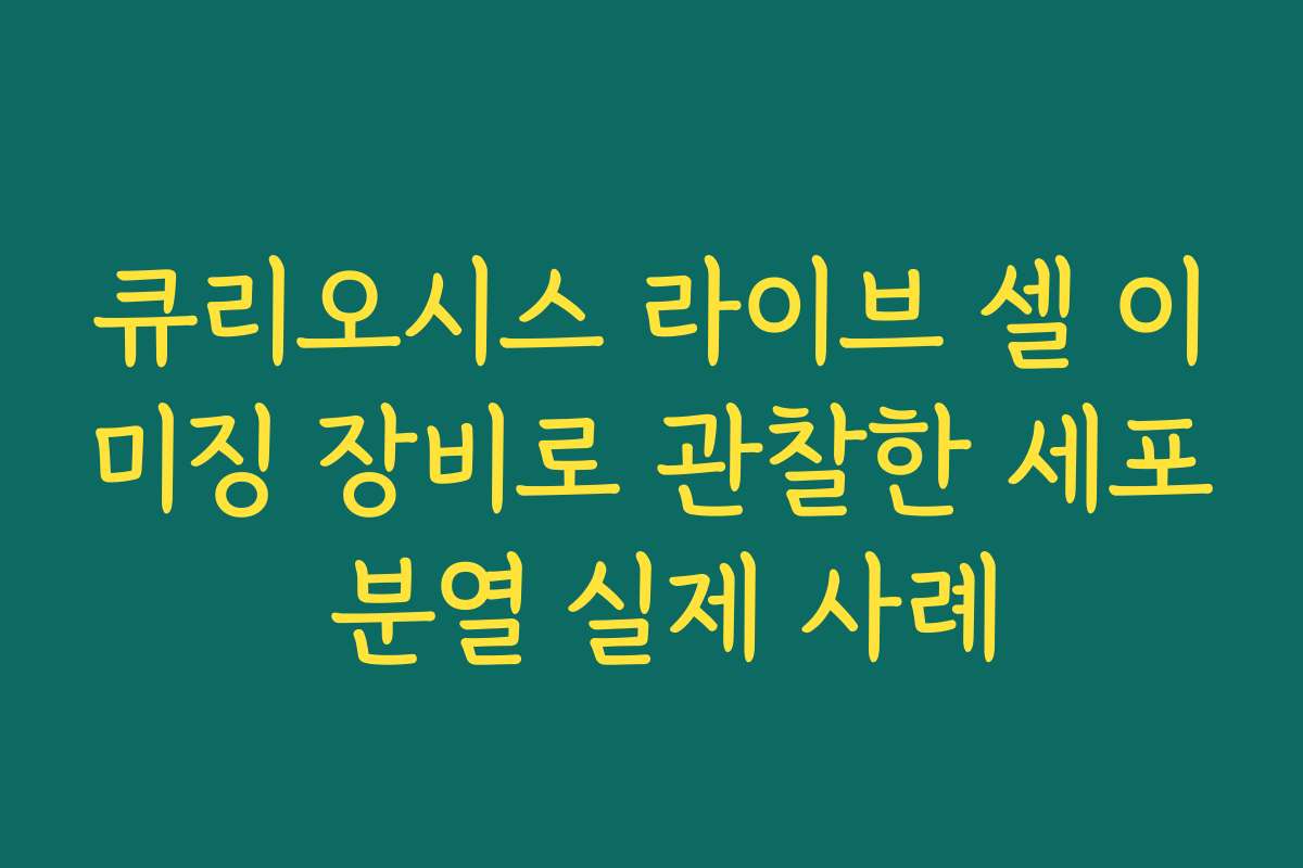 큐리오시스 라이브 셀 이미징 장비로 관찰한 세포 분열 실제 사례