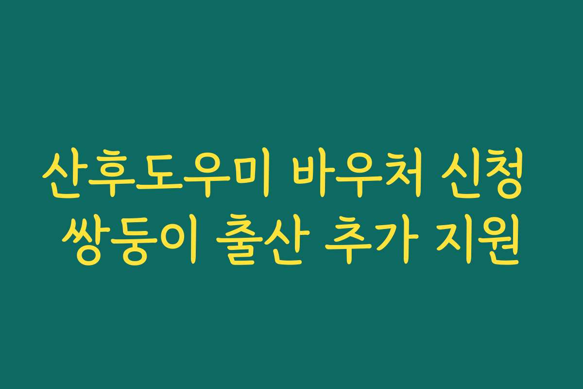 산후도우미 바우처 신청 쌍둥이 출산 추가 지원