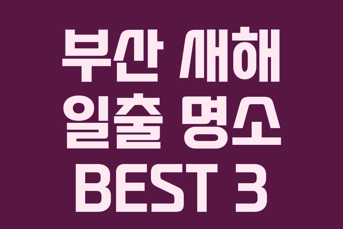 부산 새해 일출 명소 BEST 3