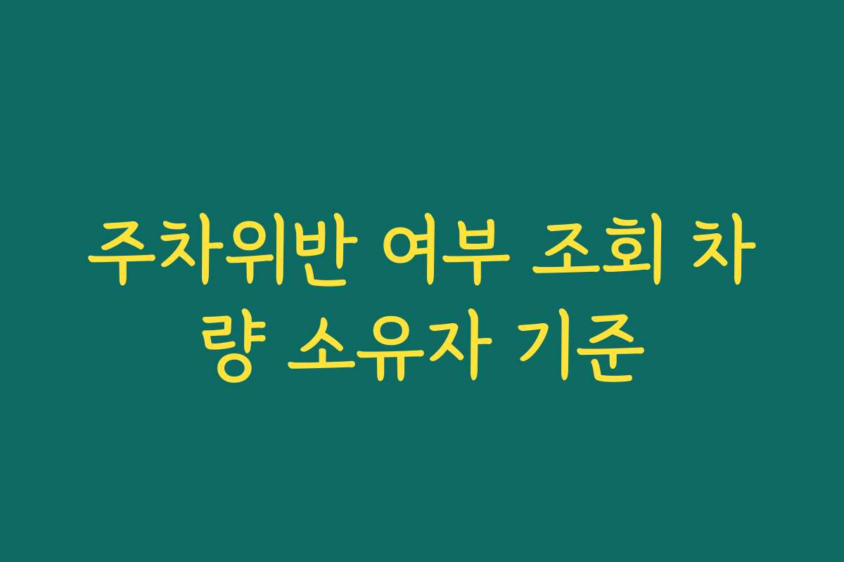 주차위반 여부 조회 차량 소유자 기준