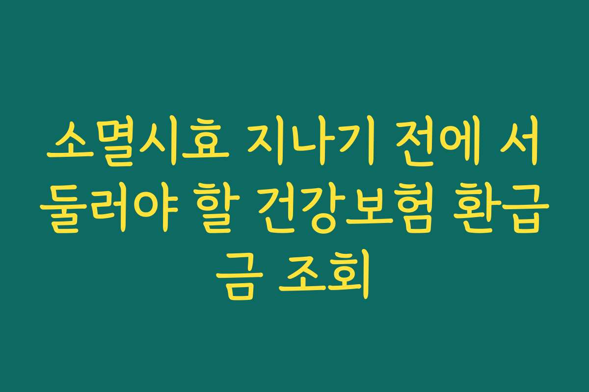 소멸시효 지나기 전에 서둘러야 할 건강보험 환급금 조회