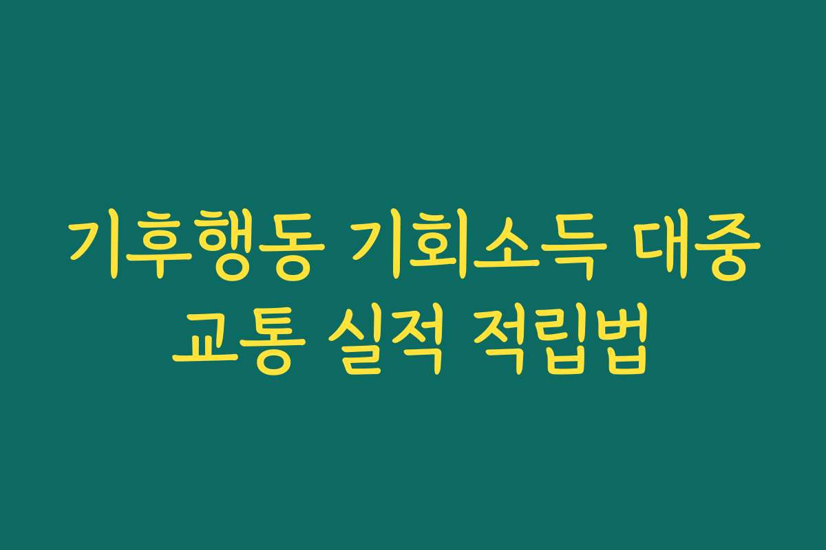 기후행동 기회소득 대중교통 실적 적립법