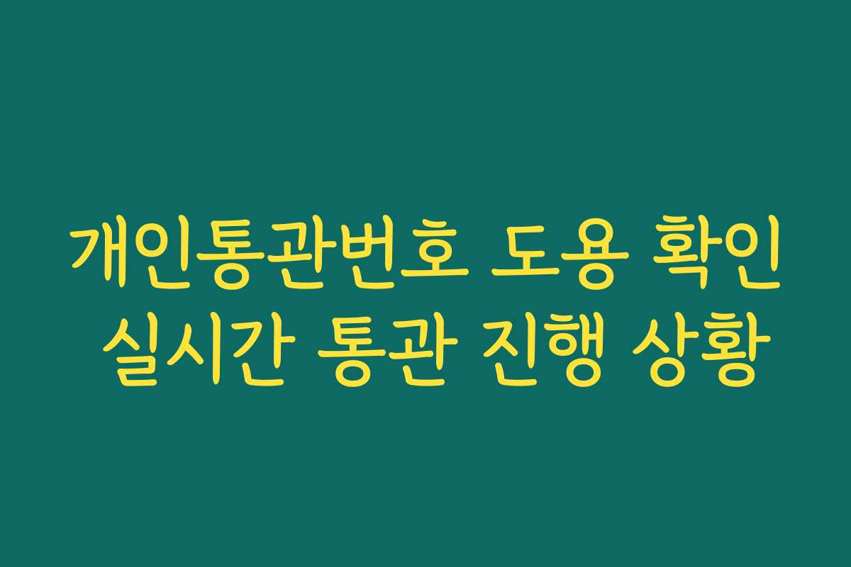 개인통관번호 도용 확인 실시간 통관 진행 상황