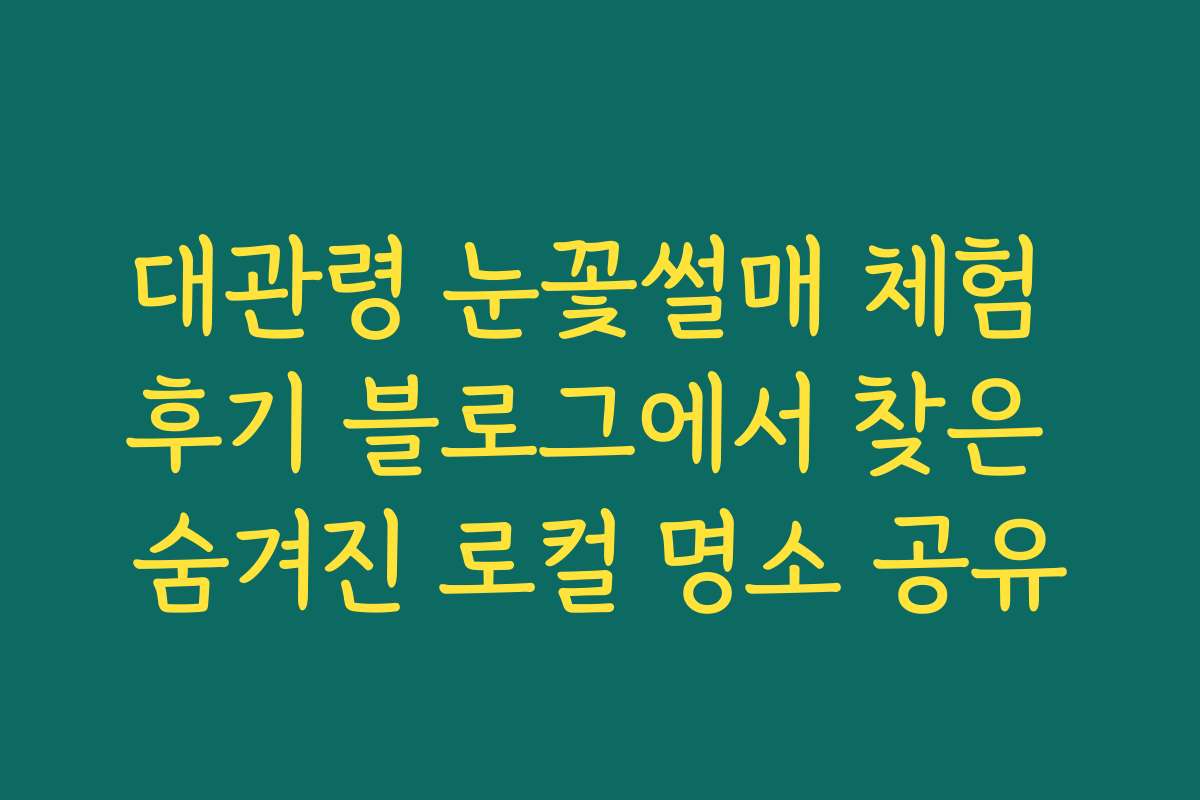 대관령 눈꽃썰매 체험 후기 블로그에서 찾은 숨겨진 로컬 명소 공유