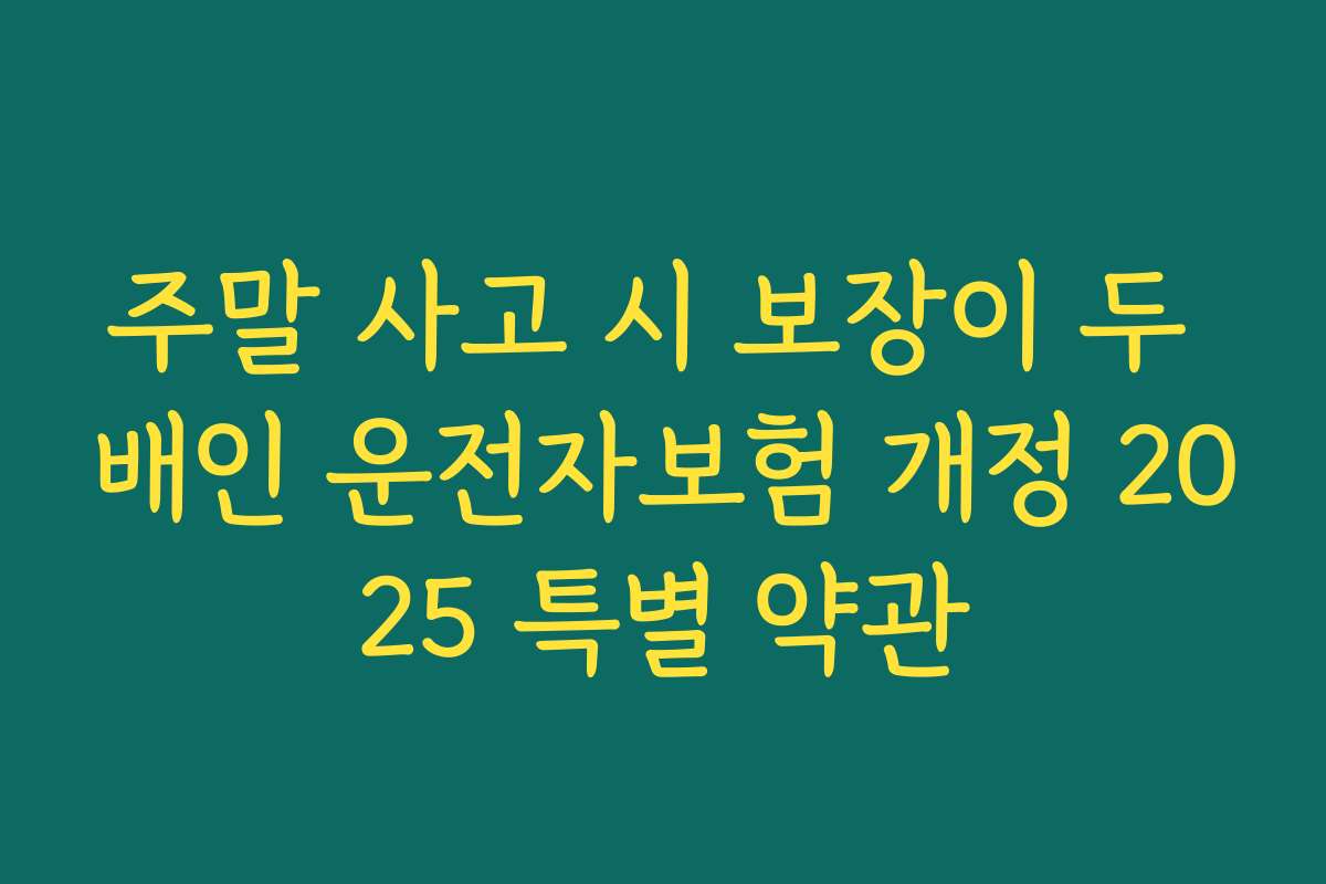 주말 사고 시 보장이 두 배인 운전자보험 개정 2025 특별 약관