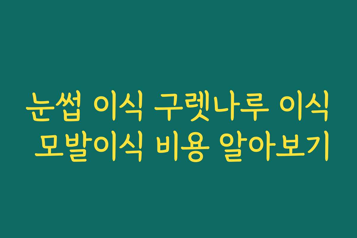 눈썹 이식 구렛나루 이식 모발이식 비용 알아보기