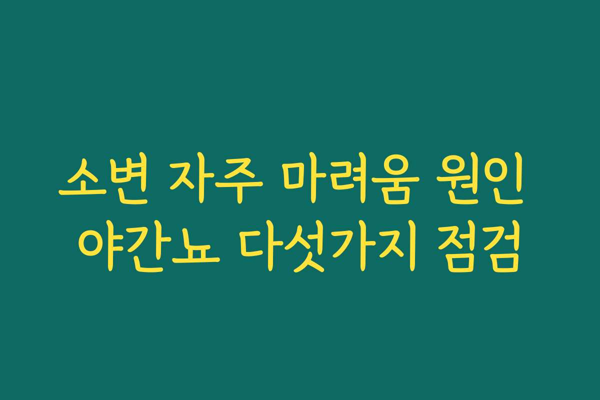 소변 자주 마려움 원인 야간뇨 다섯가지 점검
