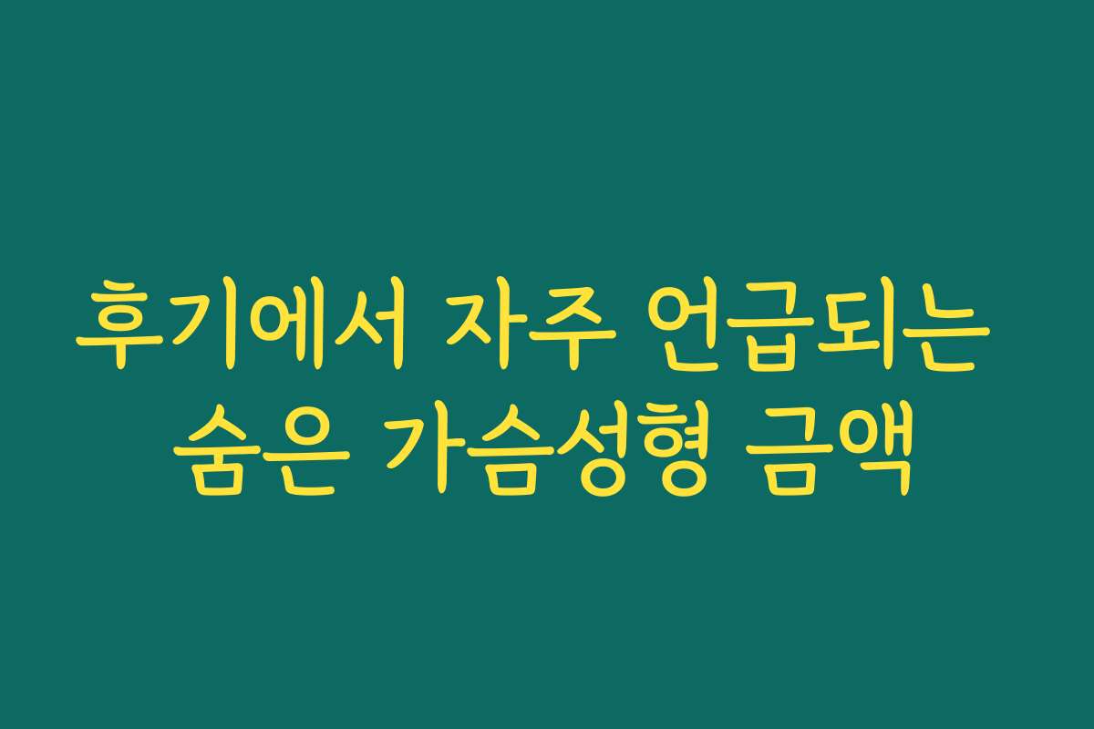 후기에서 자주 언급되는 숨은 가슴성형 금액