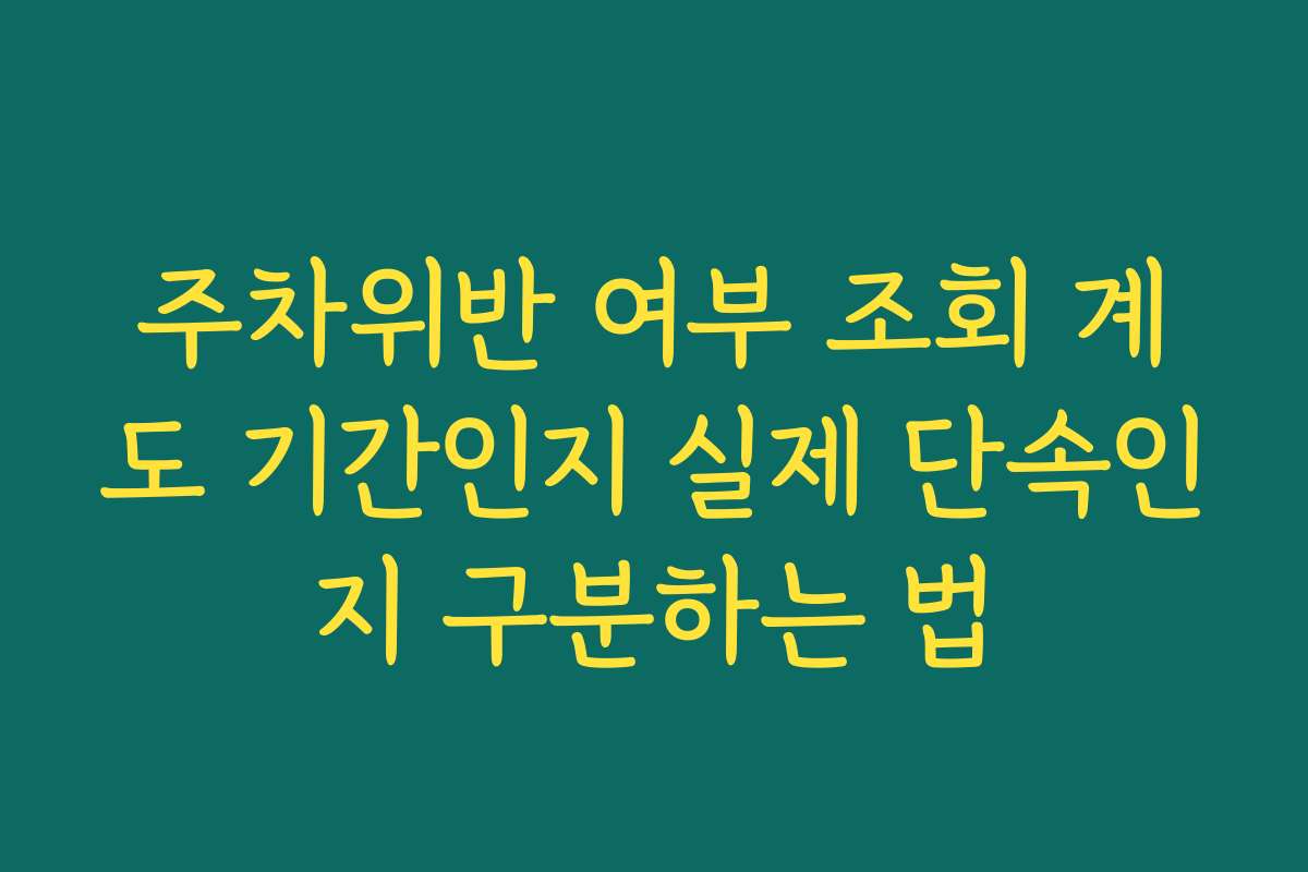 주차위반 여부 조회 계도 기간인지 실제 단속인지 구분하는 법