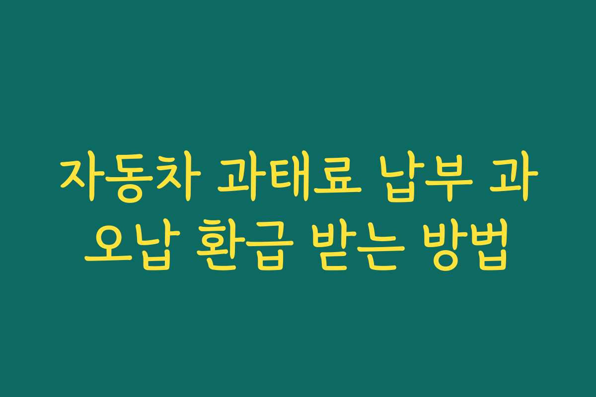 자동차 과태료 납부 과오납 환급 받는 방법