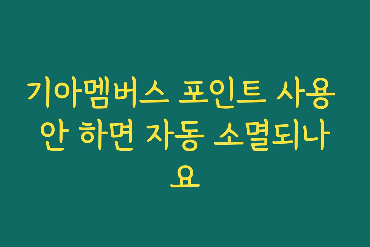 기아멤버스 포인트 사용 안 하면 자동 소멸되나요