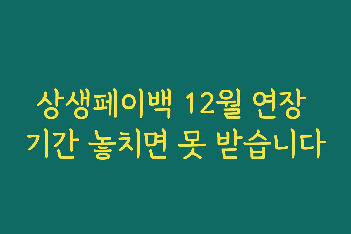 상생페이백 12월 연장 기간 놓치면 못 받습니다