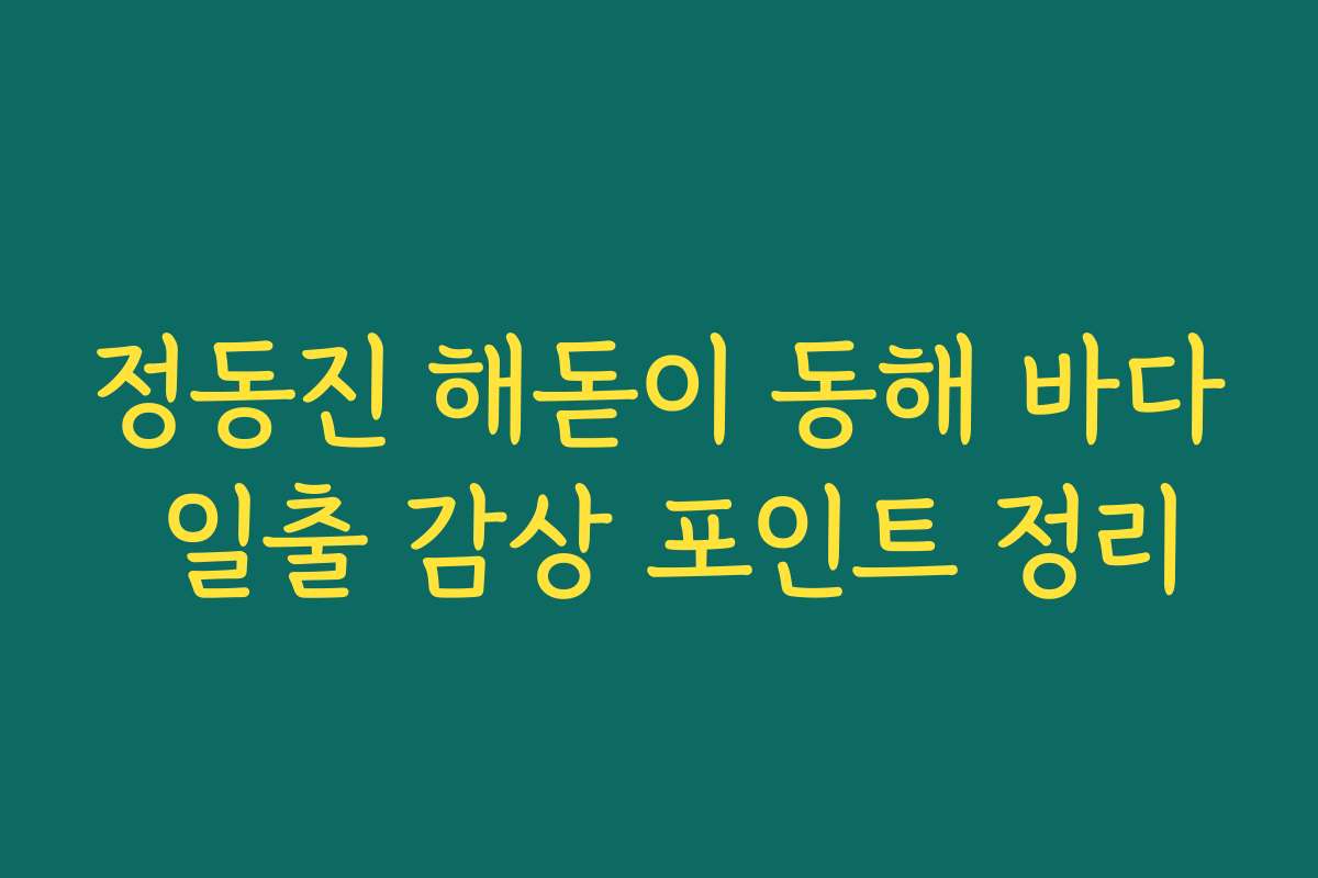정동진 해돋이 동해 바다 일출 감상 포인트 정리