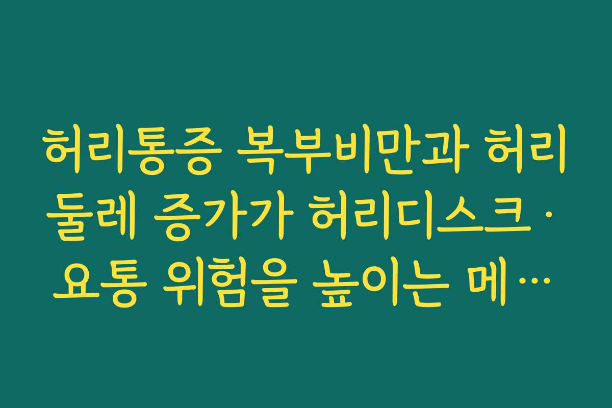 허리통증 복부비만과 허리둘레 증가가 허리디스크·요통 위험을 높이는 메커니즘