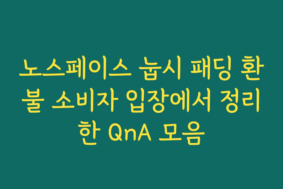 노스페이스 눕시 패딩 환불 소비자 입장에서 정리한 QnA 모음