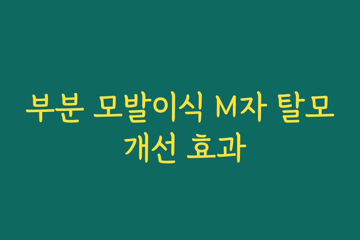 부분 모발이식 M자 탈모 개선 효과