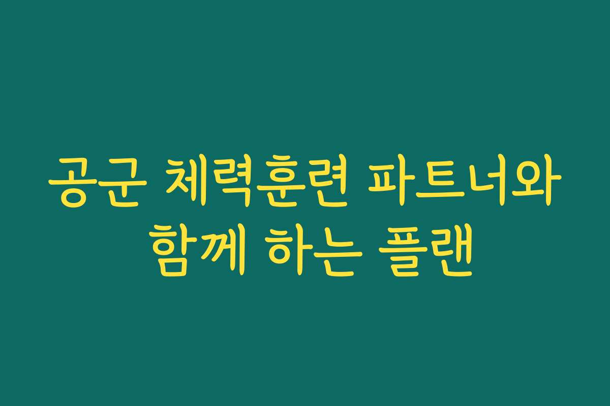 공군 체력훈련 파트너와 함께 하는 플랜