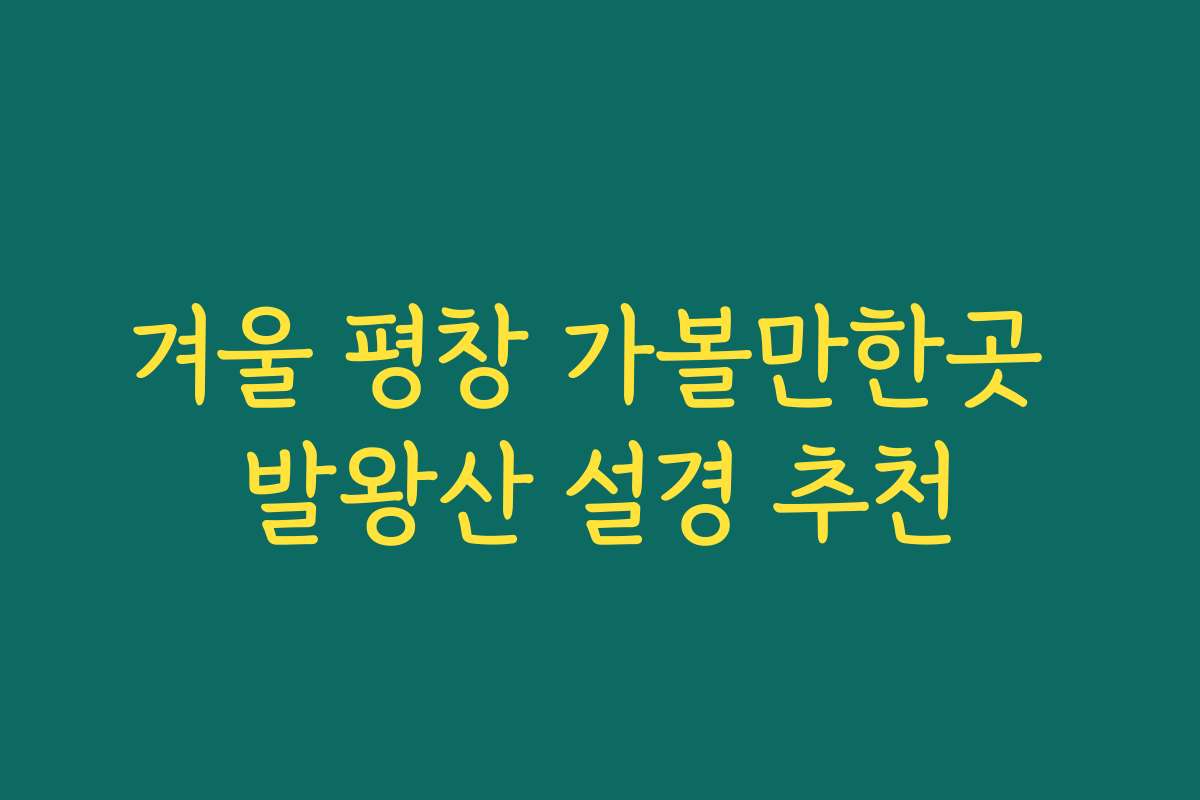 겨울 평창 가볼만한곳 발왕산 설경 추천