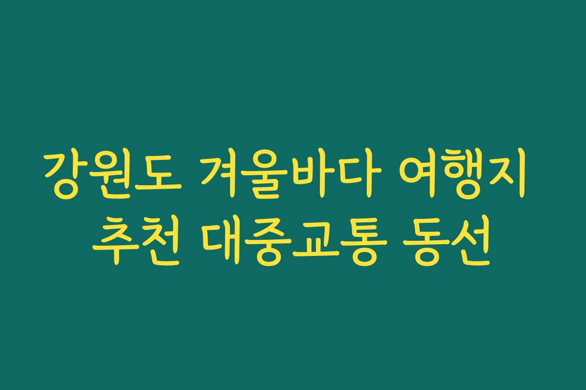 강원도 겨울바다 여행지 추천 대중교통 동선