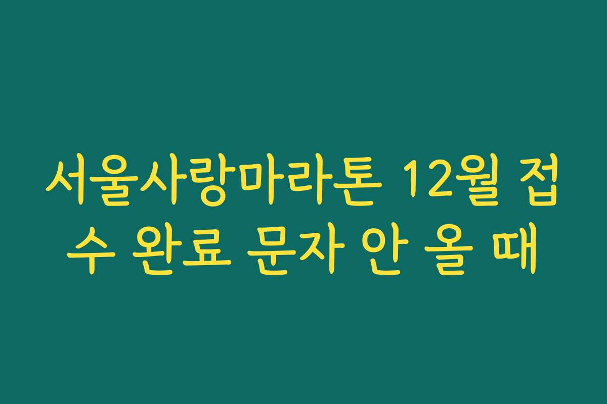서울사랑마라톤 12월 접수 완료 문자 안 올 때