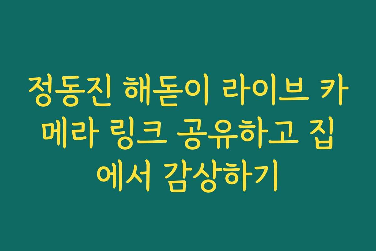 정동진 해돋이 라이브 카메라 링크 공유하고 집에서 감상하기