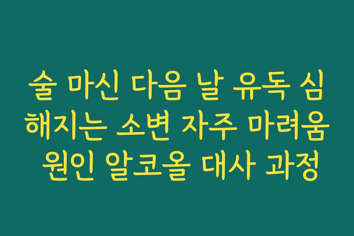술 마신 다음 날 유독 심해지는 소변 자주 마려움 원인 알코올 대사 과정