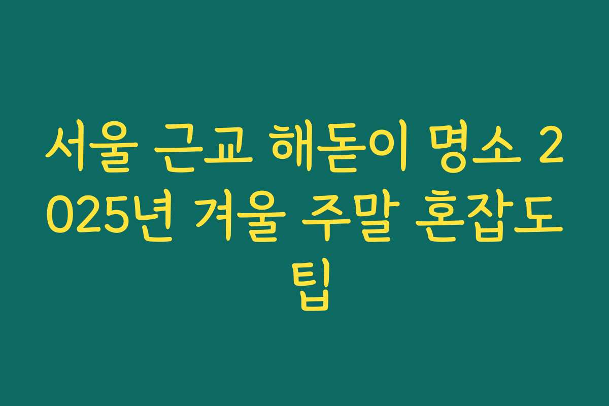 서울 근교 해돋이 명소 2025년 겨울 주말 혼잡도 팁
