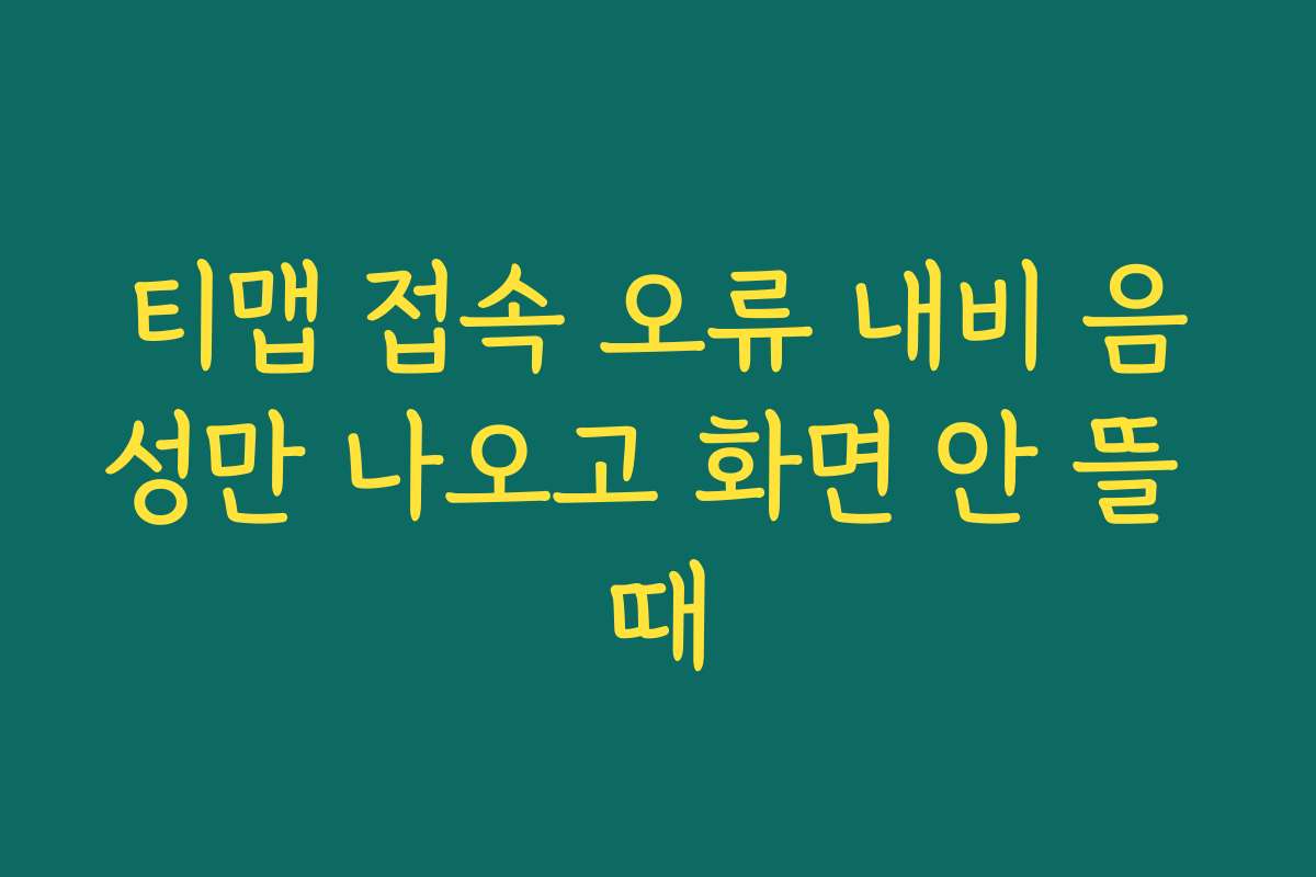 티맵 접속 오류 내비 음성만 나오고 화면 안 뜰 때