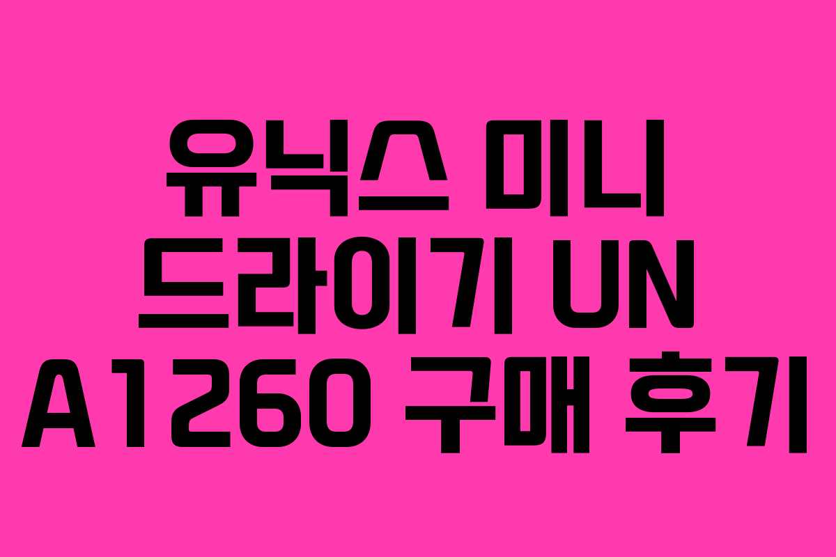 유닉스 미니 드라이기 UN A1260 구매 후기