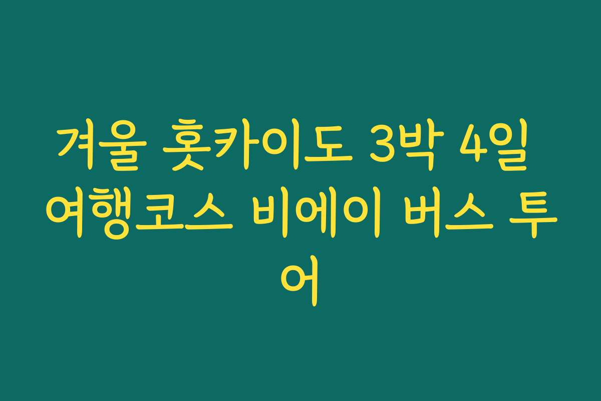 겨울 홋카이도 3박 4일 여행코스 비에이 버스 투어