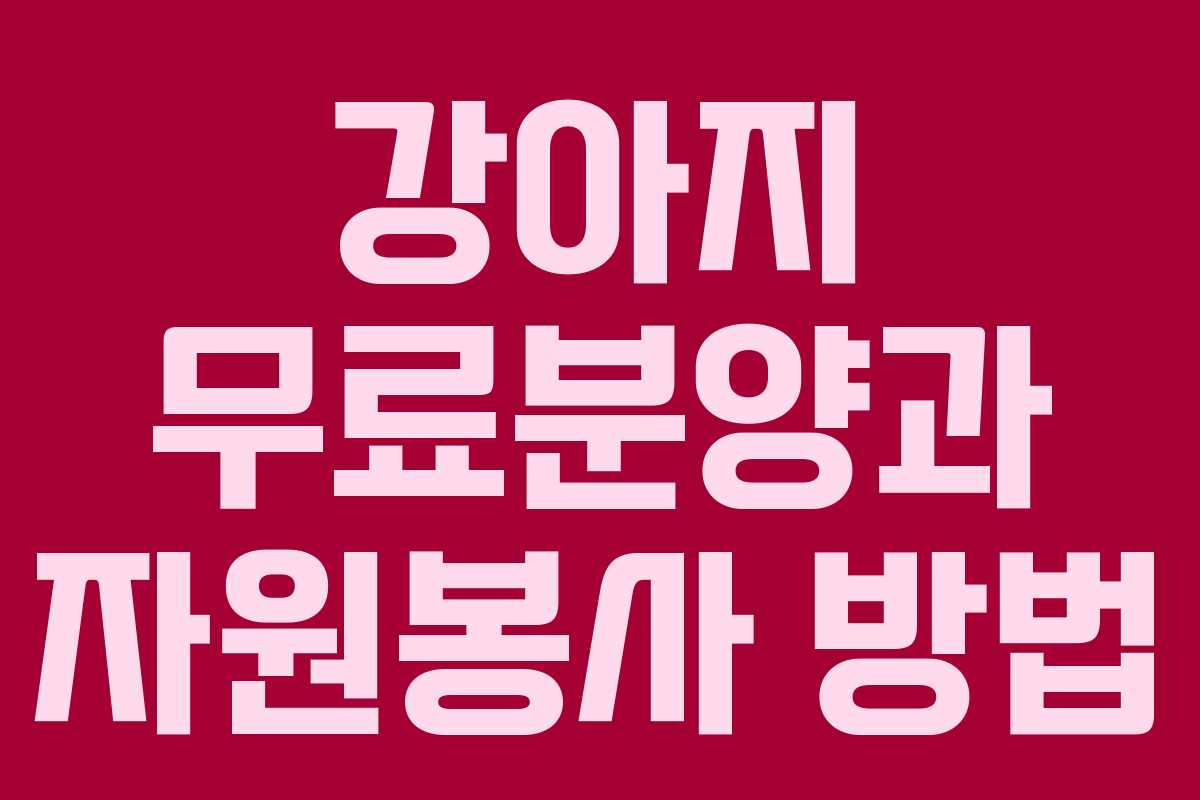 강아지 무료분양과 자원봉사 방법