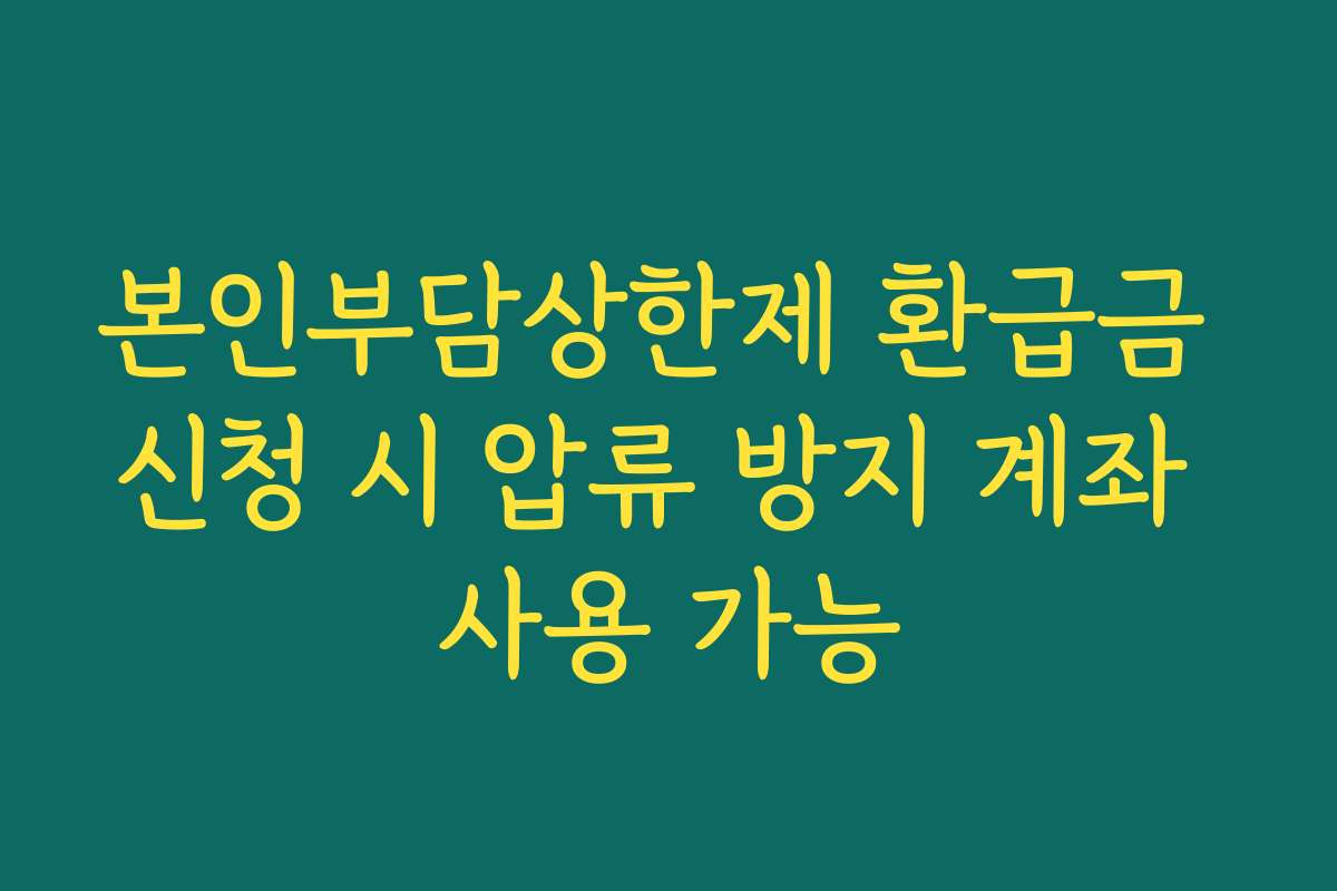 본인부담상한제 환급금 신청 시 압류 방지 계좌 사용 가능