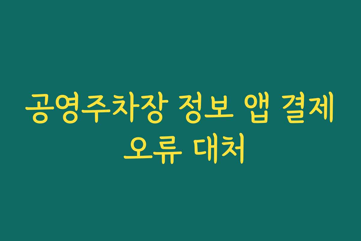 공영주차장 정보 앱 결제 오류 대처